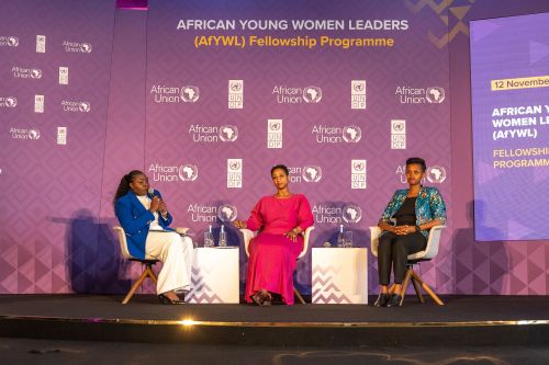 UNDP Youth Leaders